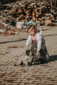 Young child in flower dress and cardigan is running over and reaching for small dog. She appears fascinated by the tiny, fluffy beige and black dog. It's no wonder kids pretend to be a dog.