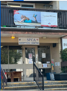 SPCA animal shelter front entrance. Stairs lead to front doors of beige and brown building.