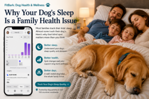 Golden dog wearing FitBark monitor sleeping on bed with 2 parents and 2 children snuggled in.