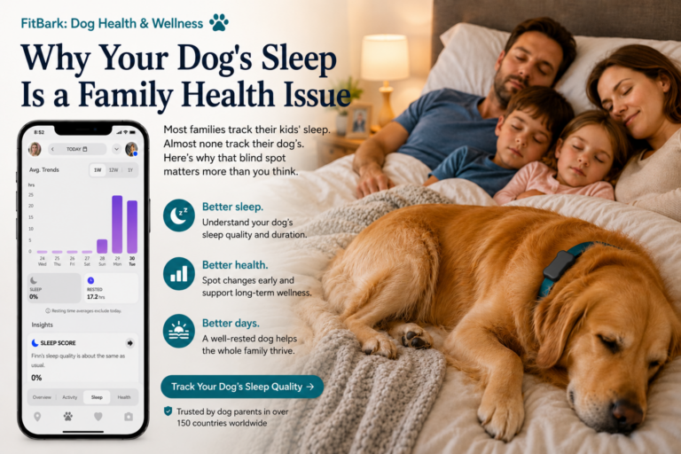 Golden dog wearing FitBark monitor sleeping on bed with 2 parents and 2 children snuggled in.