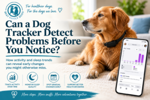 Golden retriever wearing a black dog activity tracker beside a smartphone showing activity and sleep trends, illustrating how dog tracker data may help families notice gradual health changes.