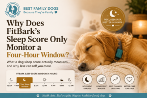Golden retriever wearing FitBark collar sleeping peacefully, illustrating FitBark's 4-hour sleep score monitoring window from 12 AM to 4 AM